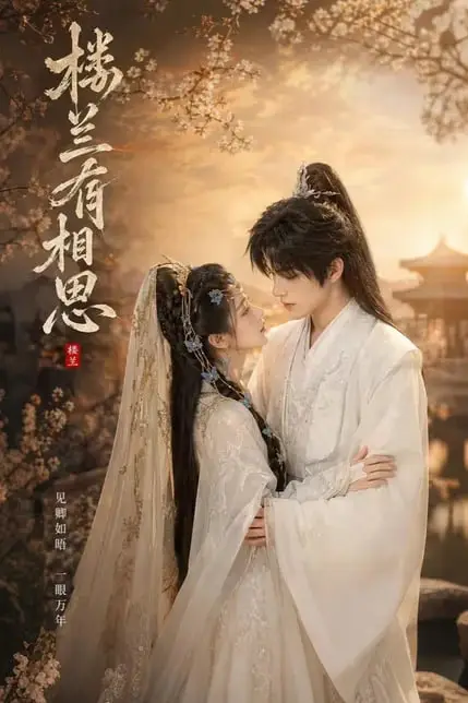《楼兰有相思》封面