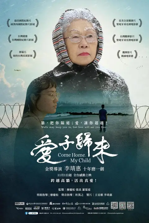 《爱子归来》封面