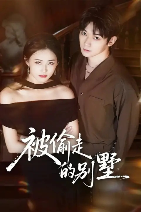 《被偷走的别墅》封面