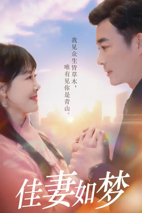 《新佳妻如梦》封面