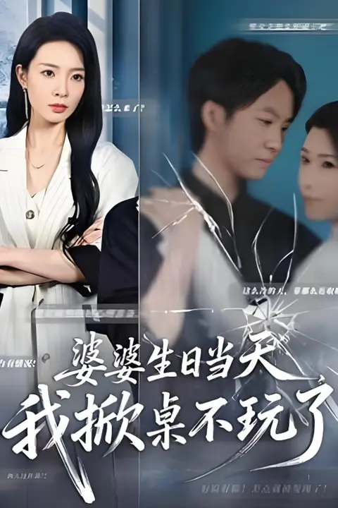 《婆婆生日当天,我掀桌不玩了》封面