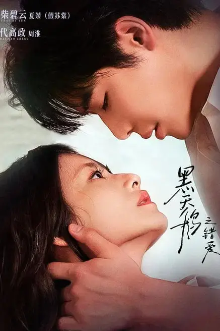《黑天鹅之错爱》封面
