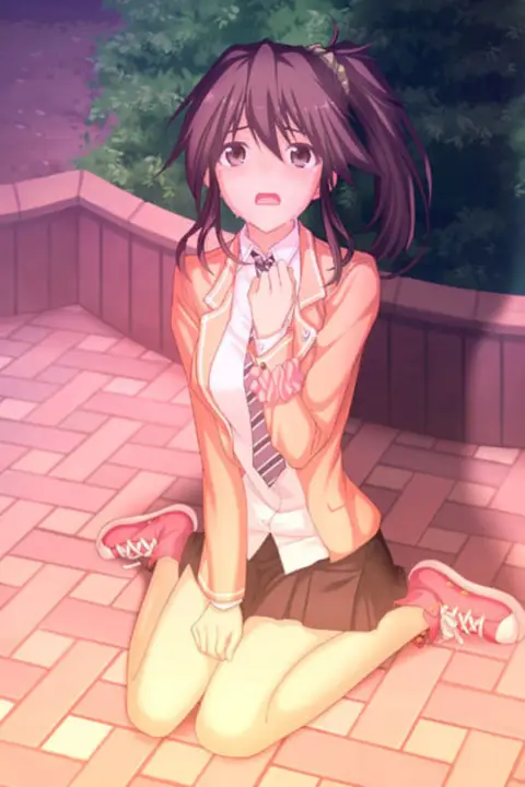 《少女的回忆》封面