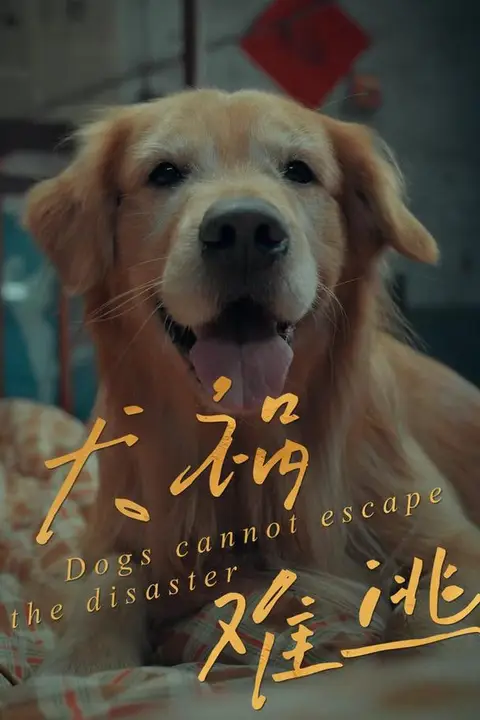 《犬祸难逃》封面