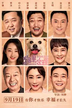 《狗果定理》封面