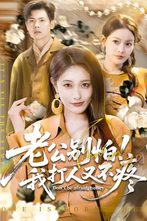 《老公别怕!我打人又不疼》封面