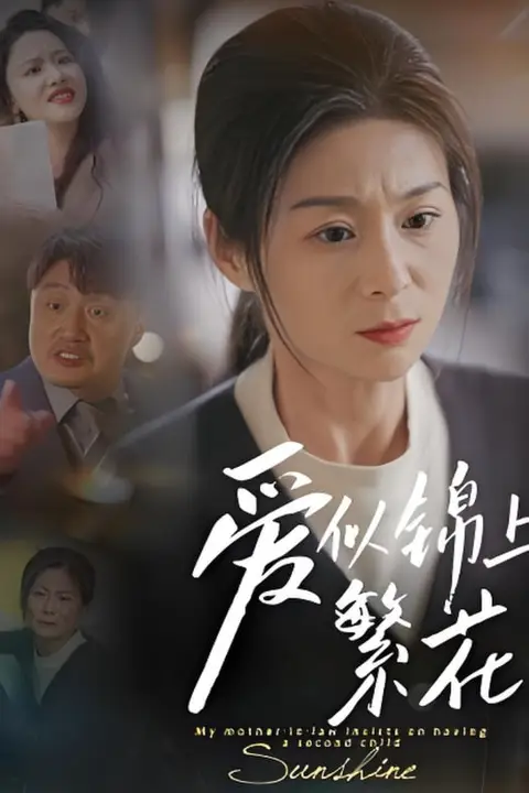 《爱似锦上繁花》封面