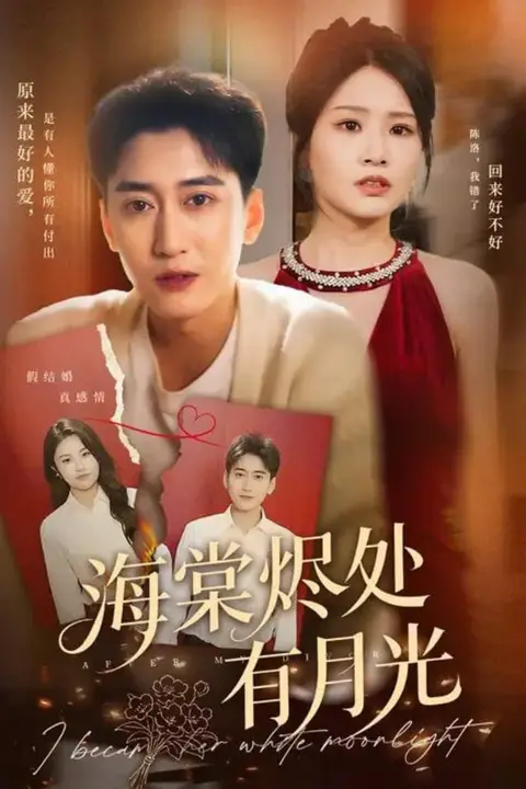 《海棠烬处有月光》封面