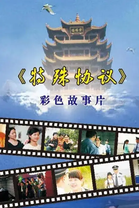 《特殊协议》封面