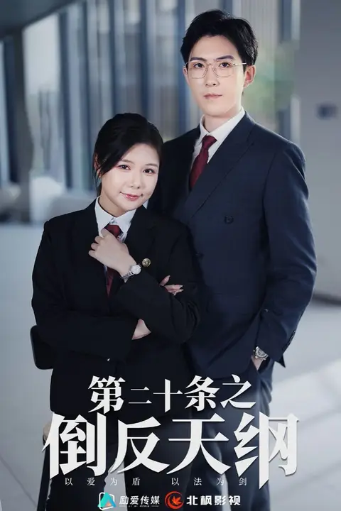 《第二十条之倒反天纲》封面