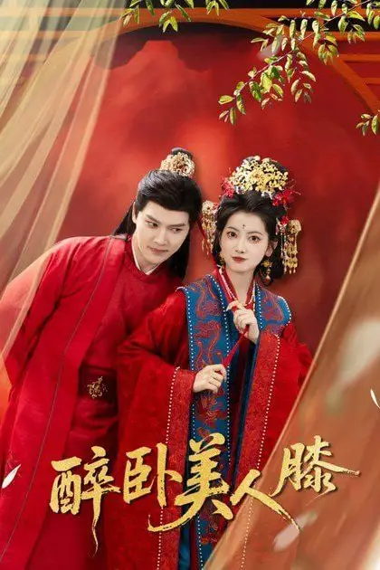 《醉卧美人膝》封面