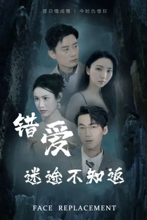 《错爱迷途不知返》封面