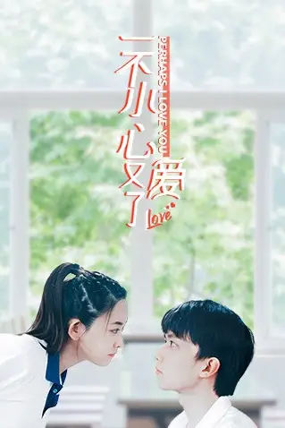 《一不小心又爱了》封面