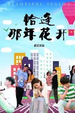 《恰逢那年花开》封面