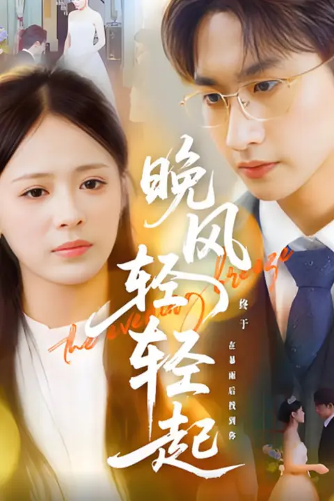 《晚风轻轻起》封面