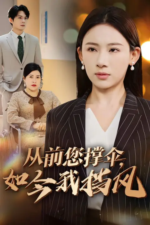 《从前您撑伞如今我挡风》封面