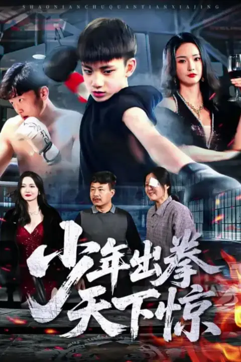 《少年出拳天下惊》封面