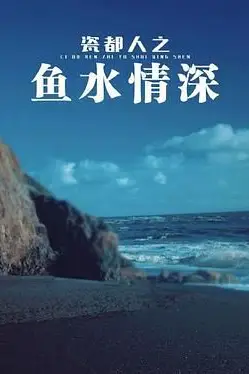 《瓷都人之鱼水情深》封面