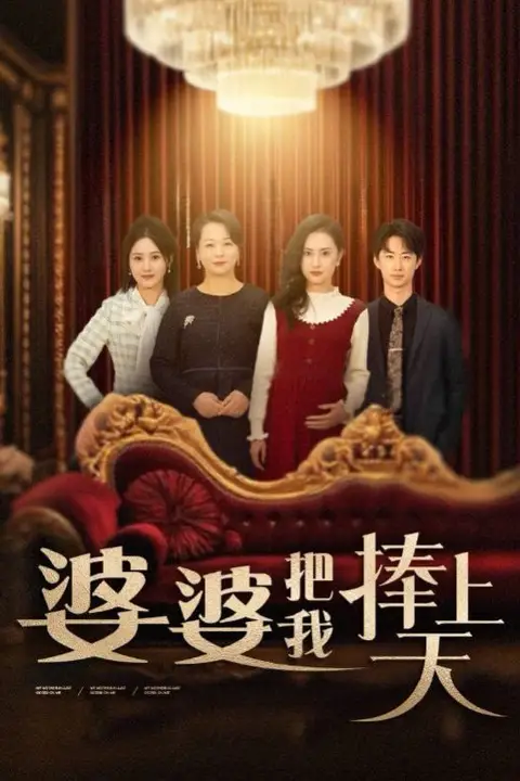 《婆婆把我捧上天》封面
