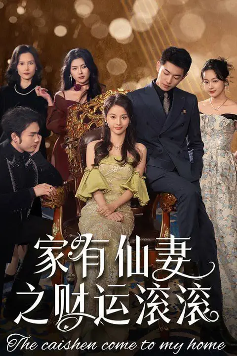 《家有仙妻之财运滚滚》封面