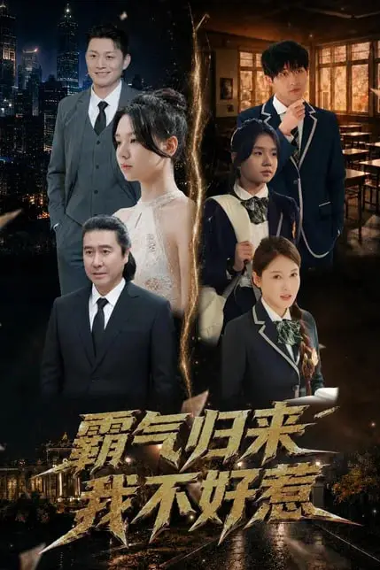 《霸气归来我不好惹》封面