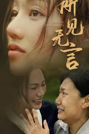 《所见无言》封面