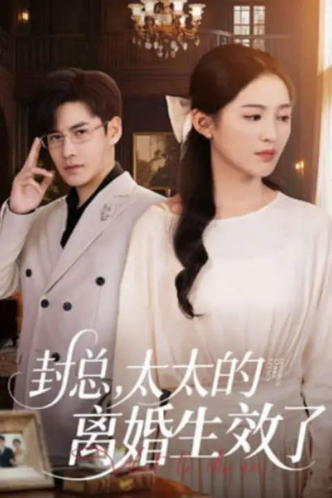 《封总,太太的离婚生效了》封面