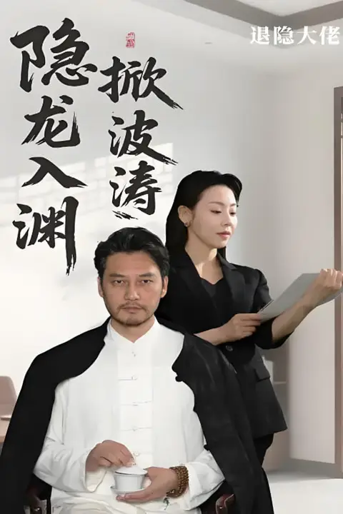 《隐龍入渊掀波涛》封面