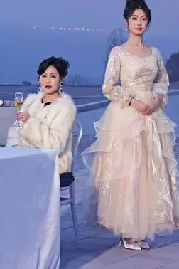 《摘星换月》封面
