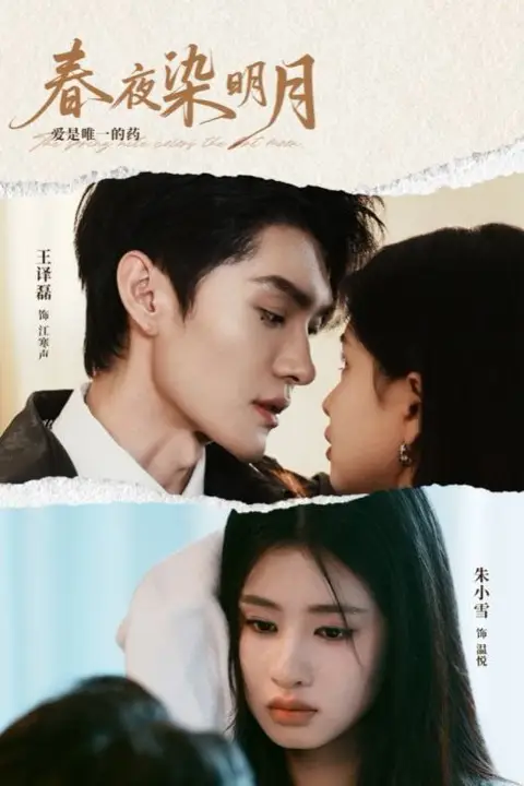 《春夜染明月》封面