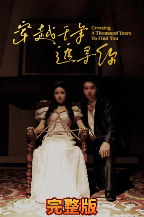 《穿越千年追寻你》封面