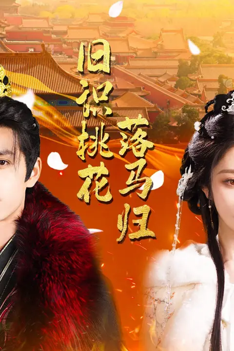 《旧识桃花落马归》封面
