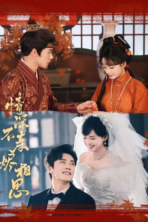 《情深不寿烬相思》封面