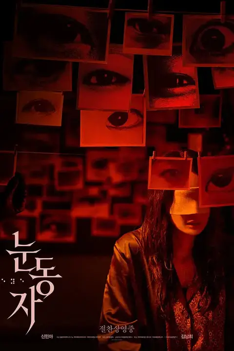 《眼眸》封面