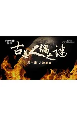 《探索发现：古墓人偶之谜》封面