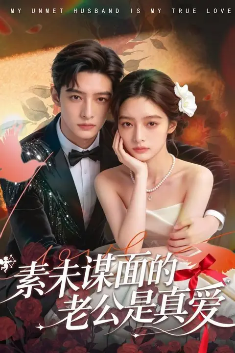 《素未谋面的老公是真爱》封面