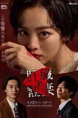 《被夺走肝的妻子》封面
