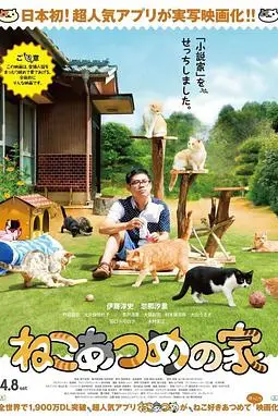 《猫咪后院之家》封面