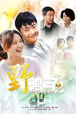 《野鸭子2》封面