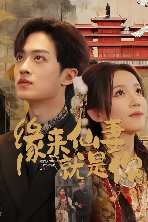 《缘来仙妻就是你》封面