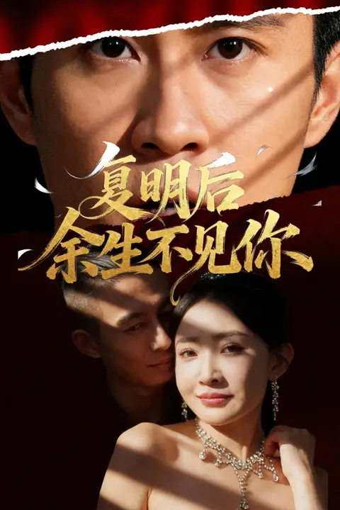 《复明后余生不见你》封面