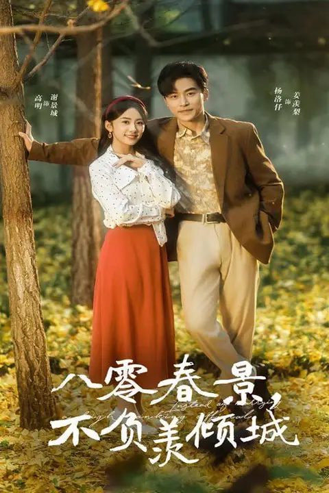 《八零春景不负羡倾城》封面