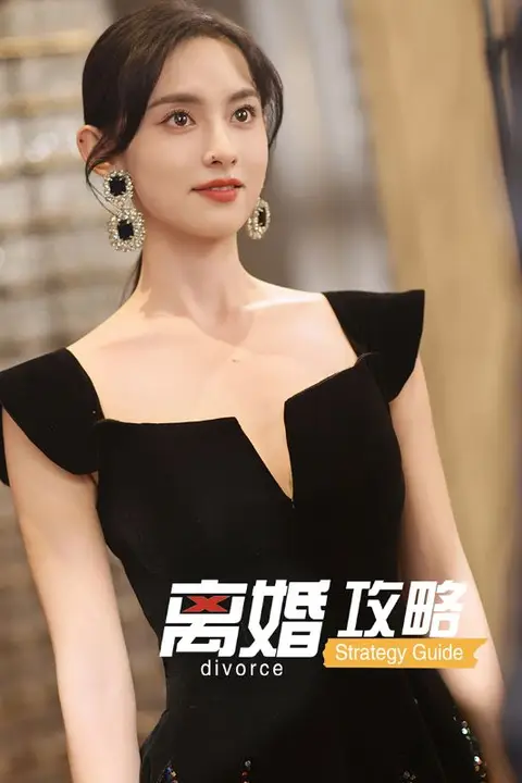 《离婚攻略》封面