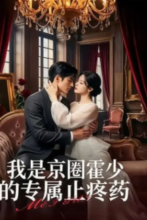 《我是京圈霍少的专属止疼药》封面