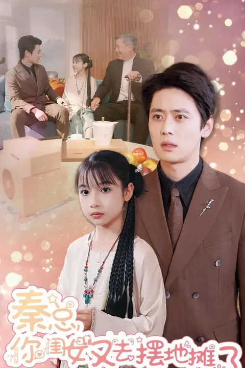 《秦总你闺女又去摆地摊了》封面
