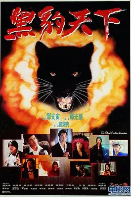 《黑豹天下》封面