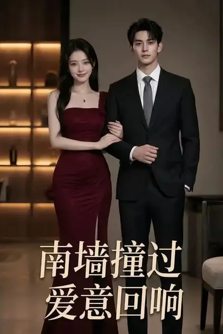 《南墙撞过,爱意回响》封面