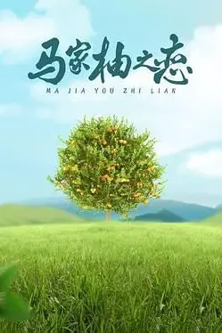 《马家柚之恋》封面