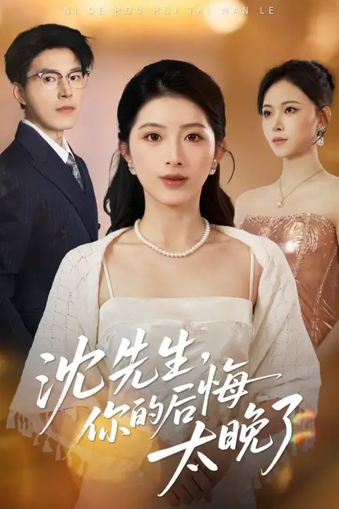 《沈先生,你的后悔太晚了》封面