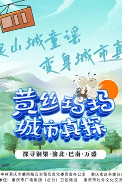 《黄丝玛玛城市真探》封面